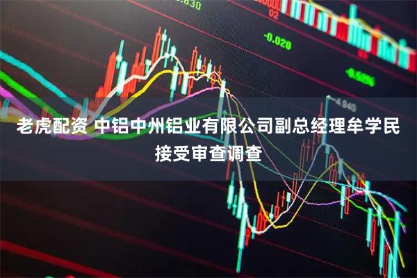 老虎配资 中铝中州铝业有限公司副总经理牟学民接受审查调查