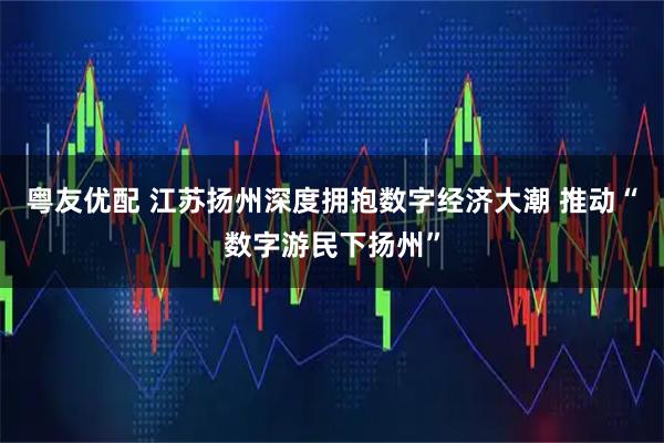粤友优配 江苏扬州深度拥抱数字经济大潮 推动“数字游民下扬州”