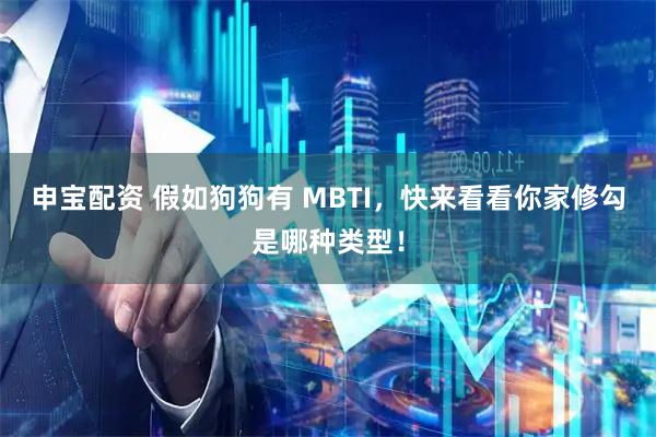 申宝配资 假如狗狗有 MBTI，快来看看你家修勾是哪种类型！
